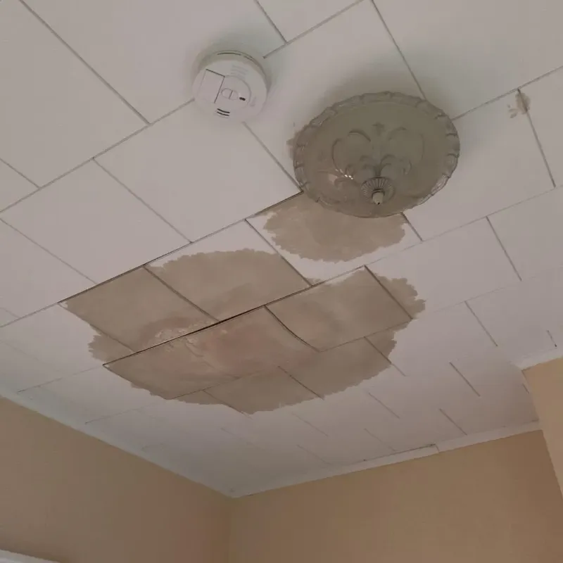 Ceiling Water Damage Repair in Hackberry, TX