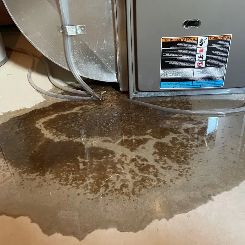 Pipe Burst and Leak Restoration in Hackberry, TX