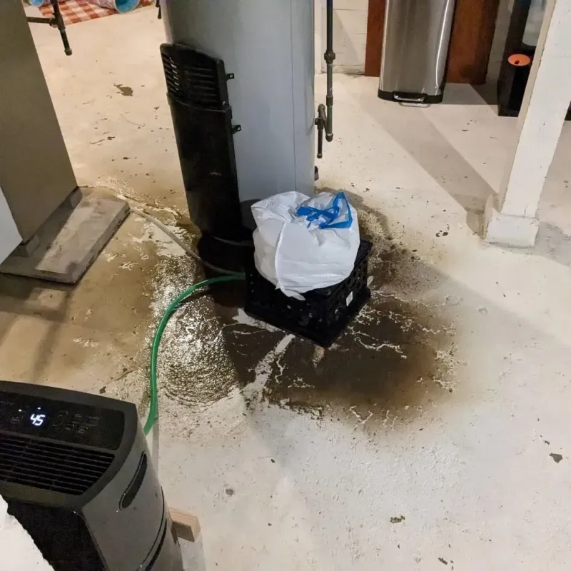 Sewage Backup Cleanup Service in Hackberry, TX